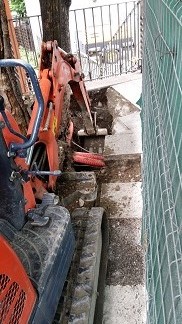 Kubota petita